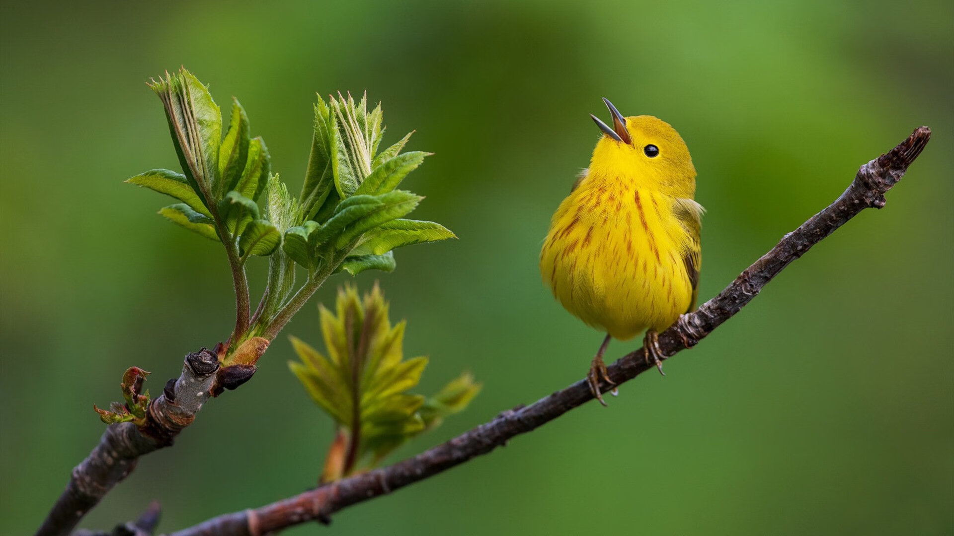 新闻中心年度品牌价值持续提升，品牌价值彰显